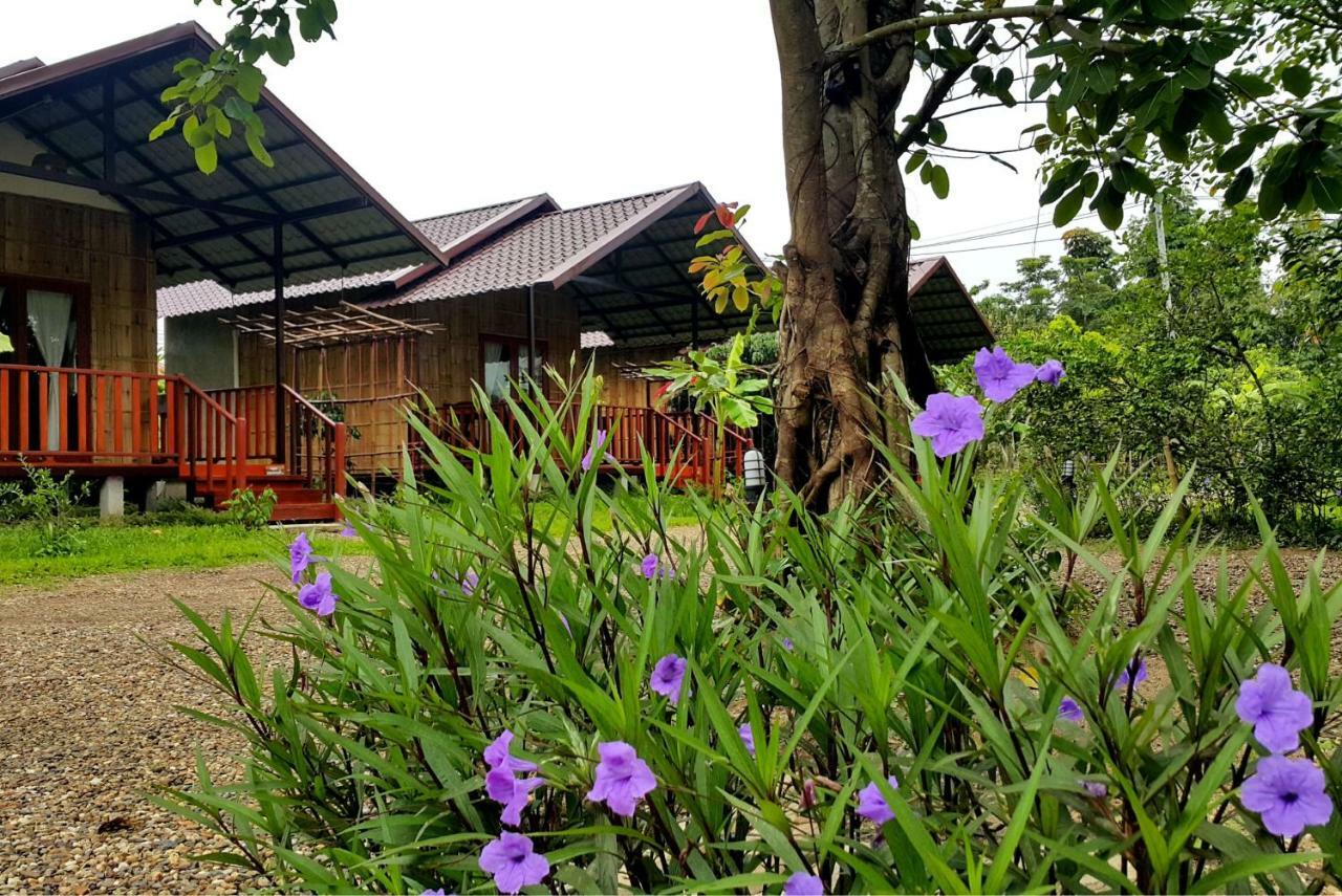 Hotel Chiang Dao Reset Extérieur photo